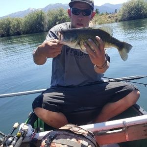 Meet your Posher, Brett